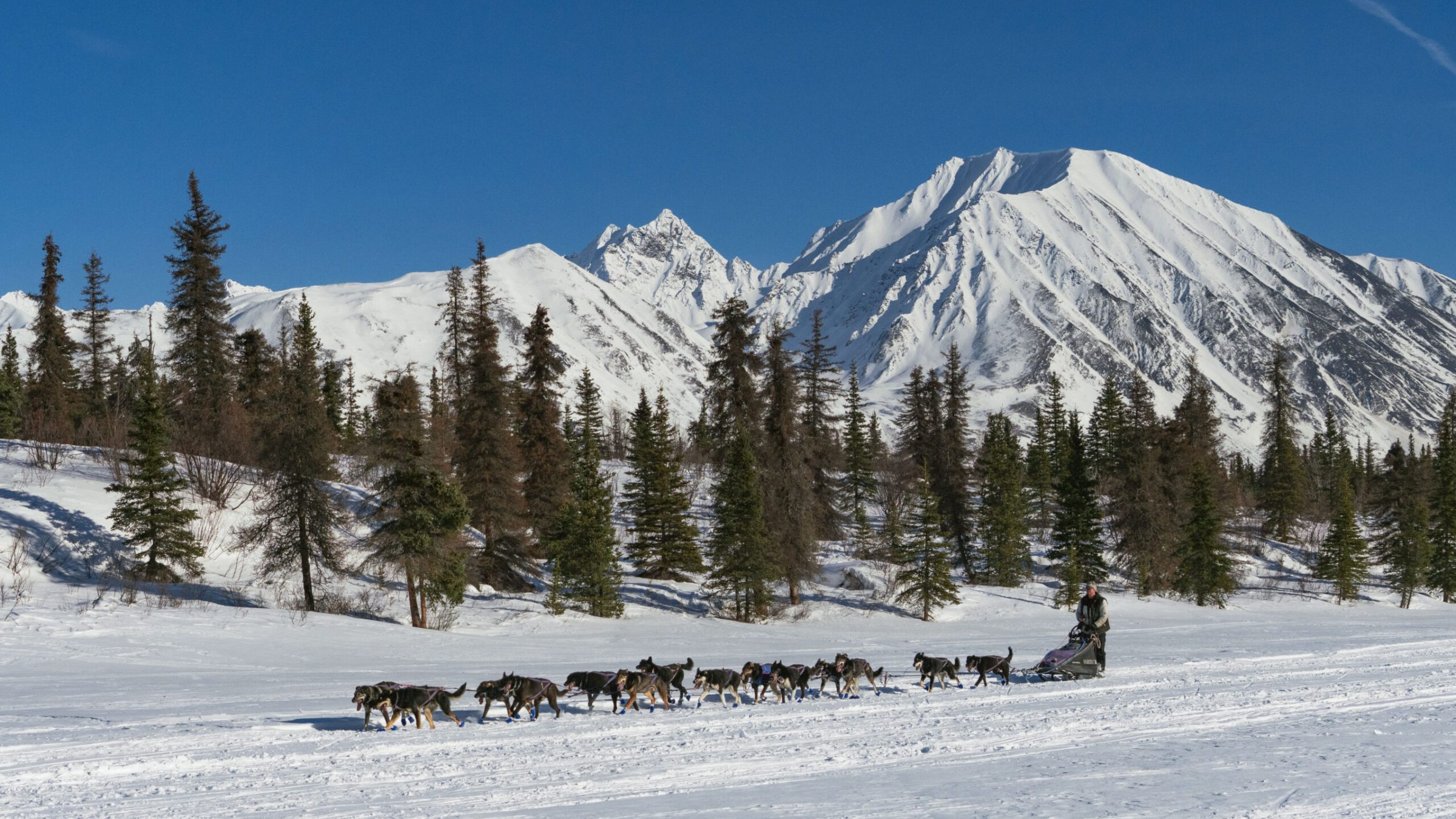 a group of people riding skis down a snow covered mountain