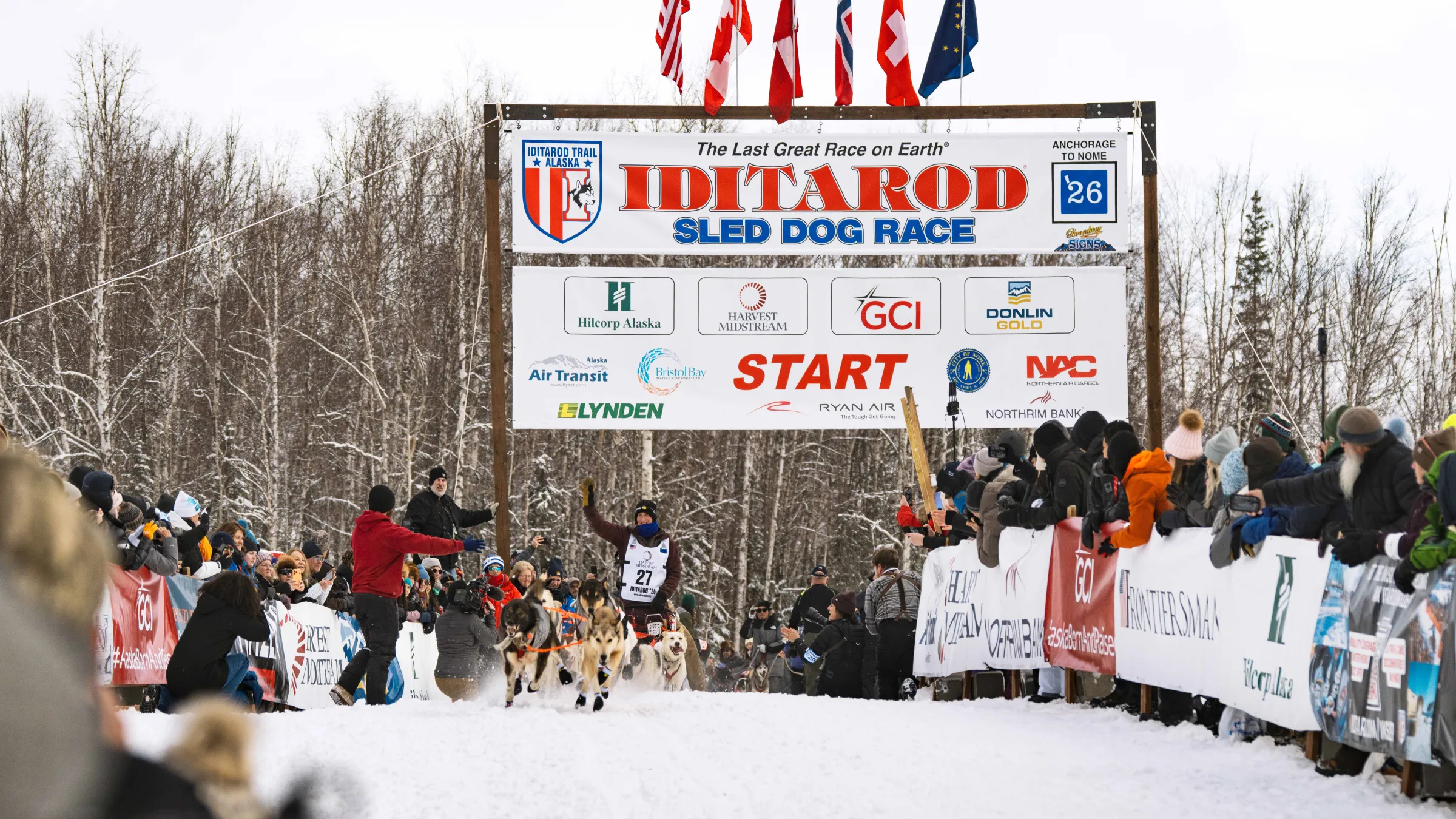 Musher and sled dogs start Iditarod race in snowy forest, crowd cheers.