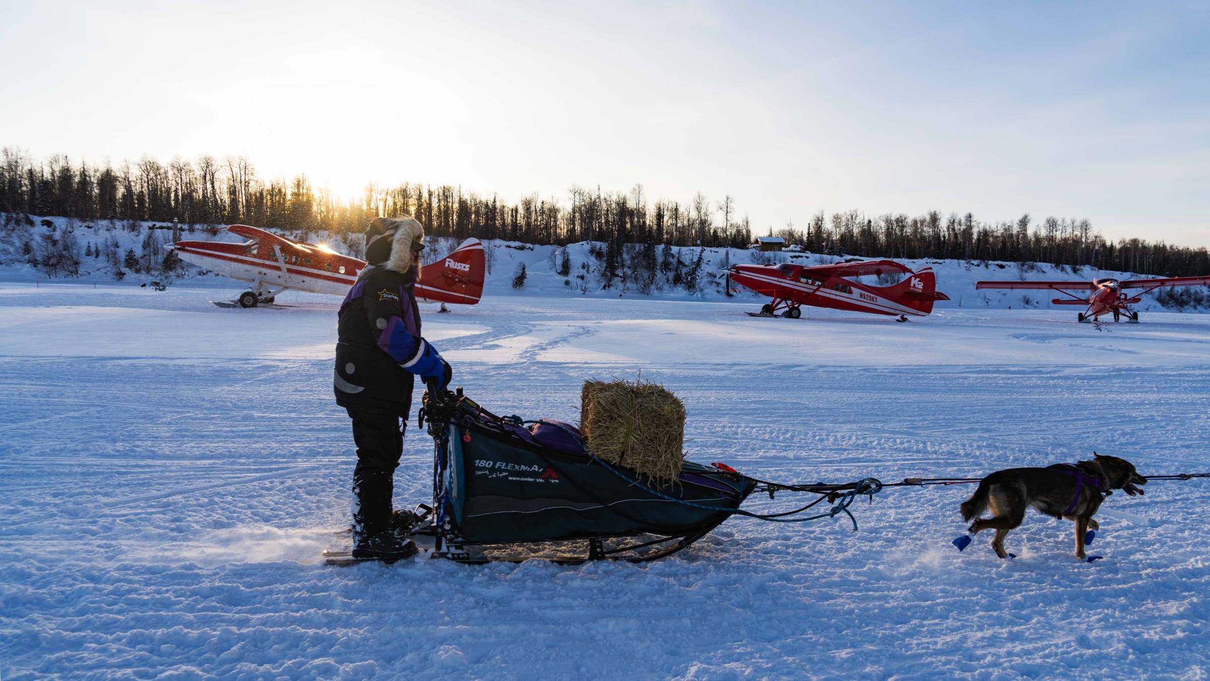 Person with sled and dog on snow, red planes in background.