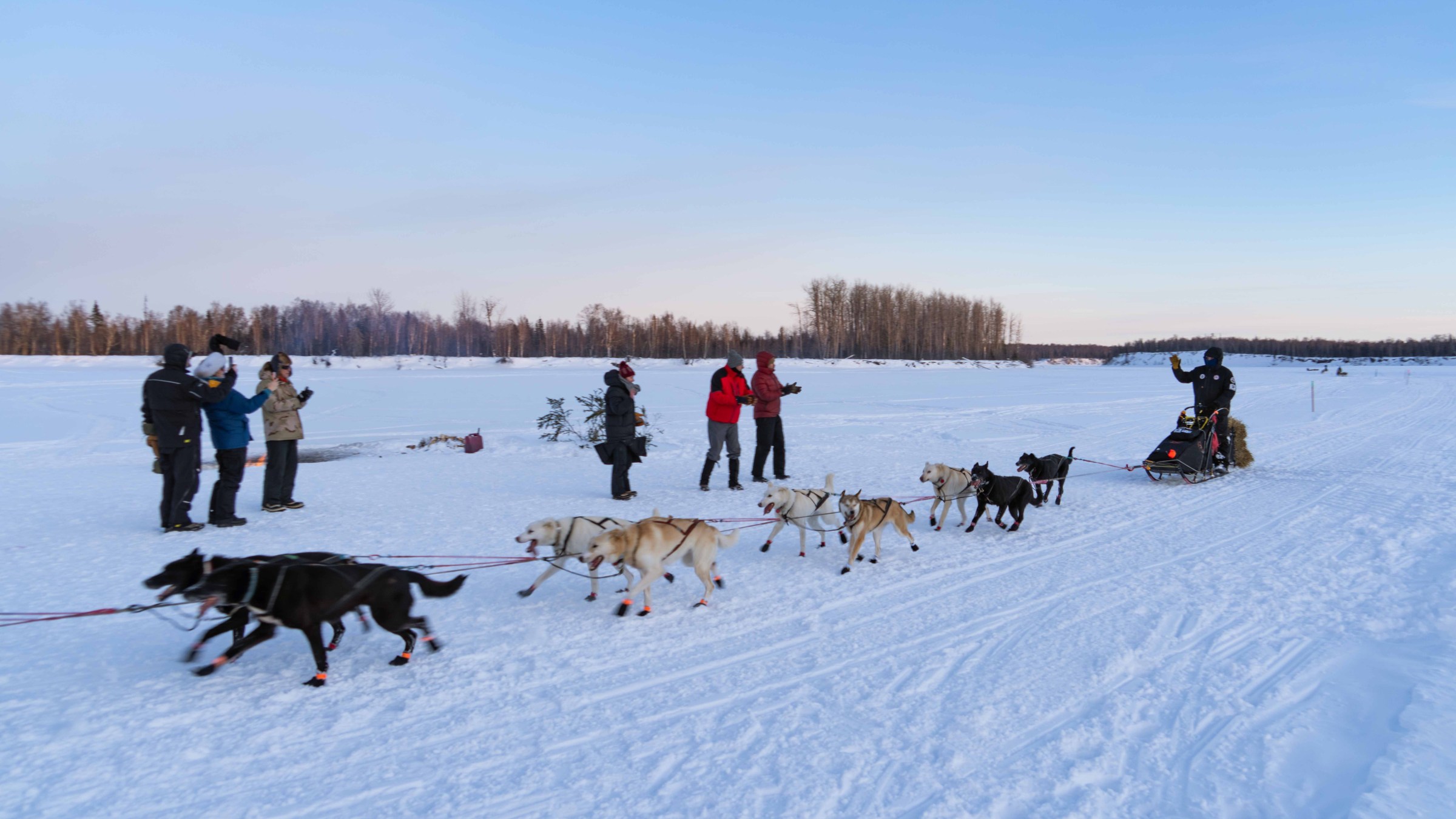 Dog sled team racing on snowy field with spectators in winter landscape.