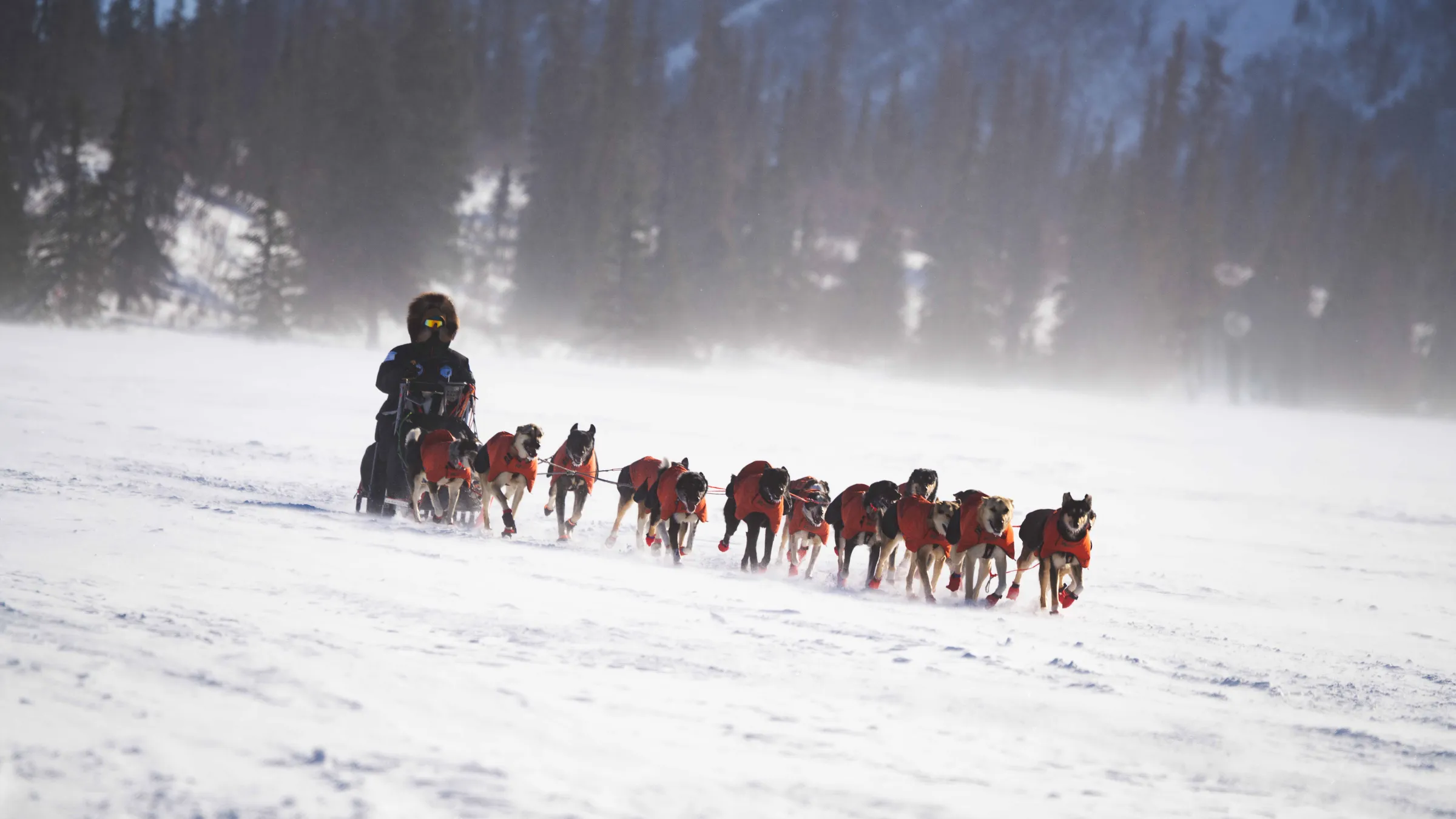 Dogsled team with a musher rides through snowy landscape with mountains in the background.