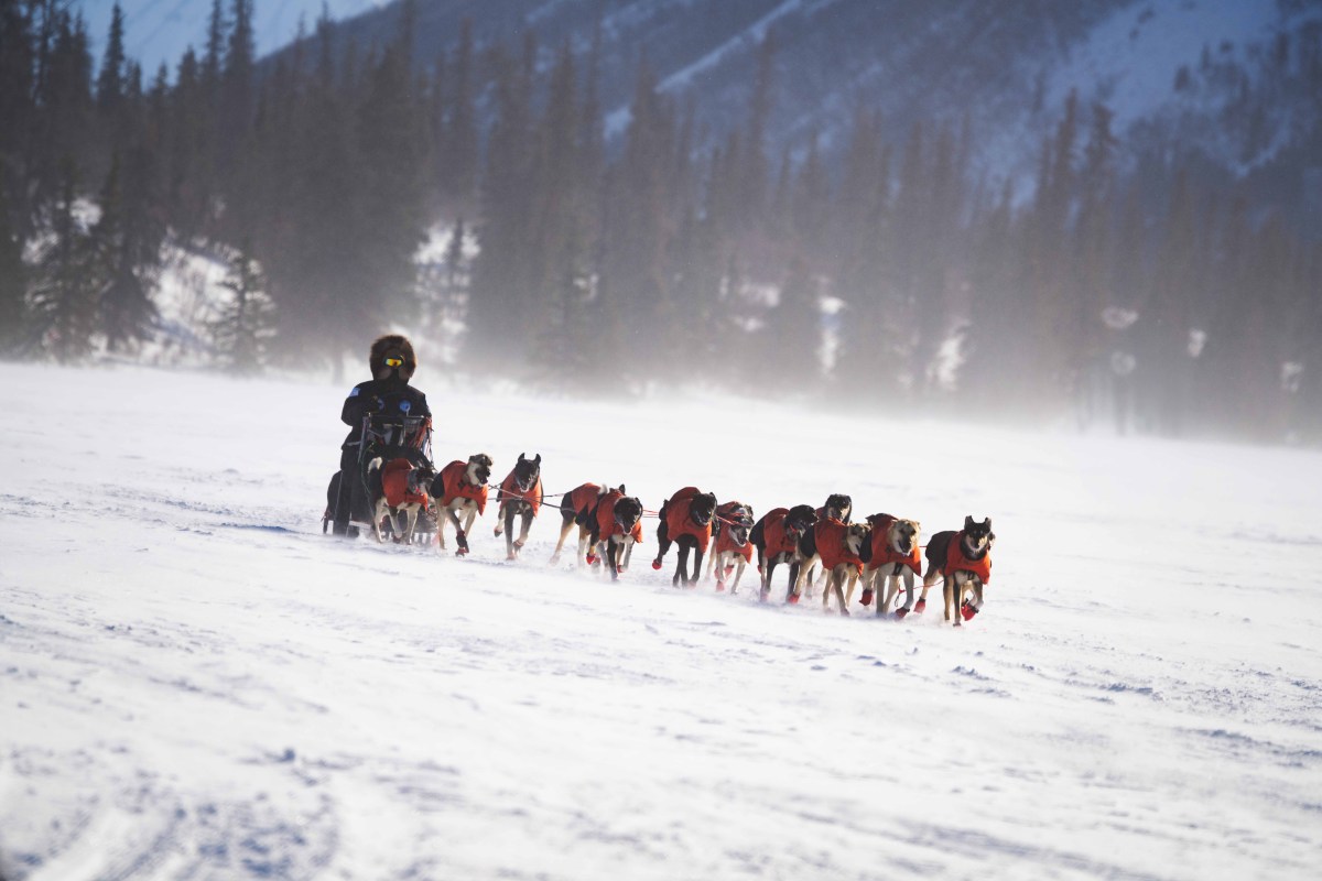 Dogsled team with a musher rides through snowy landscape with mountains in the background.