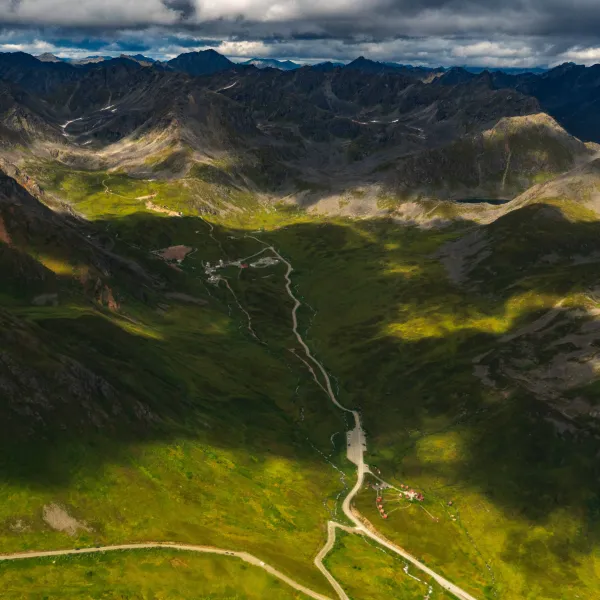 a bird standing on top of a mountain