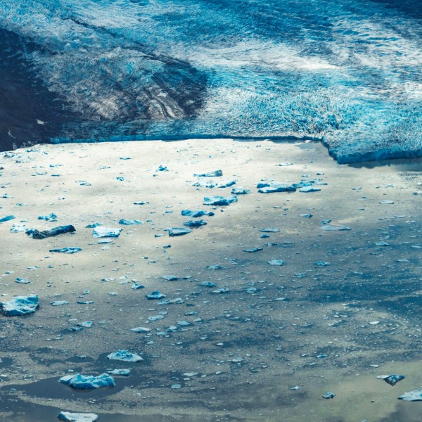 a group of people on a beach