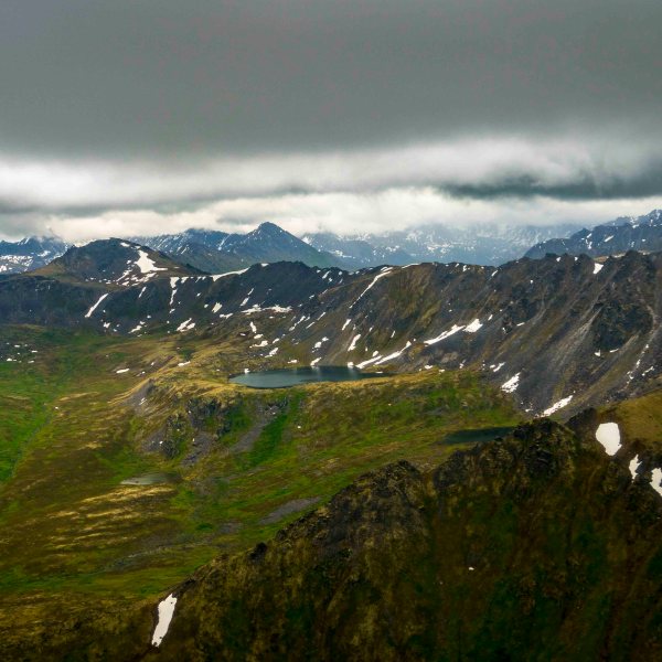 a close up of a hillside with a mountain in the background