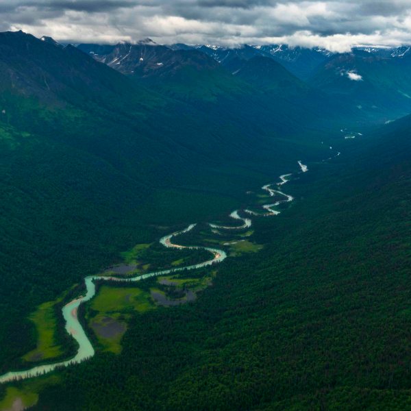 a large green field with a mountain in the background