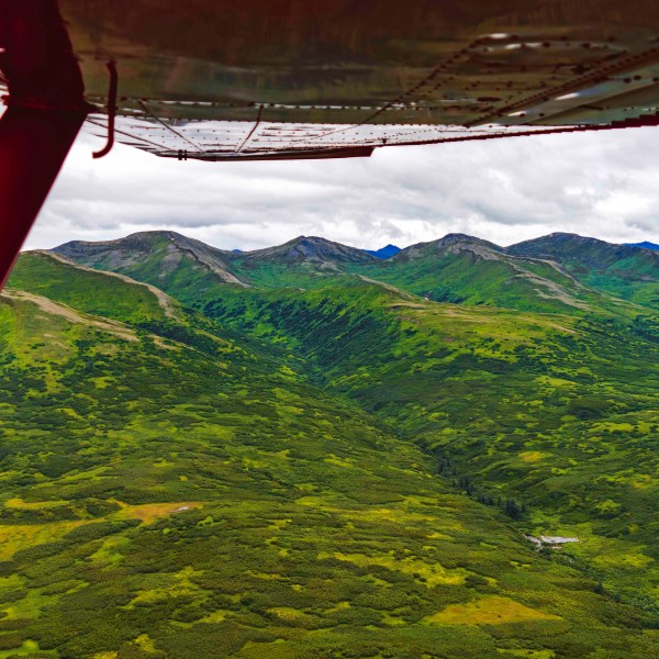 a large green field with trees in the background